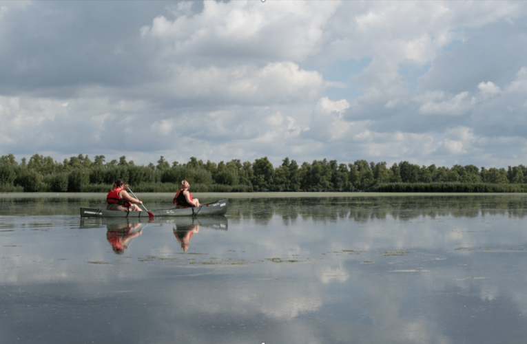 Kayaking Through the Wetlands of De Biesbosch National Park