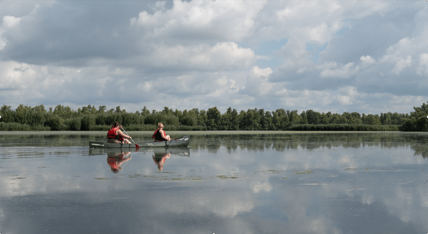 Kayaking Through the Wetlands of De Biesbosch National Park